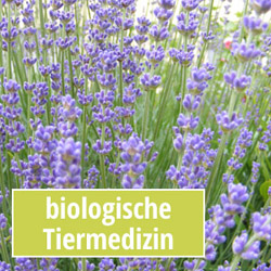 biologische_tiermedizin